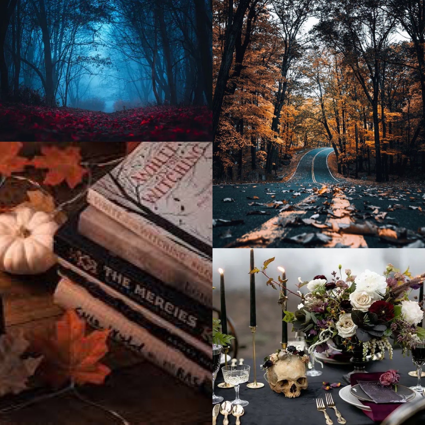 Autumn Sock Set Club | Beauty in the Dark & Twisted | Three Months | Monthly Subscription