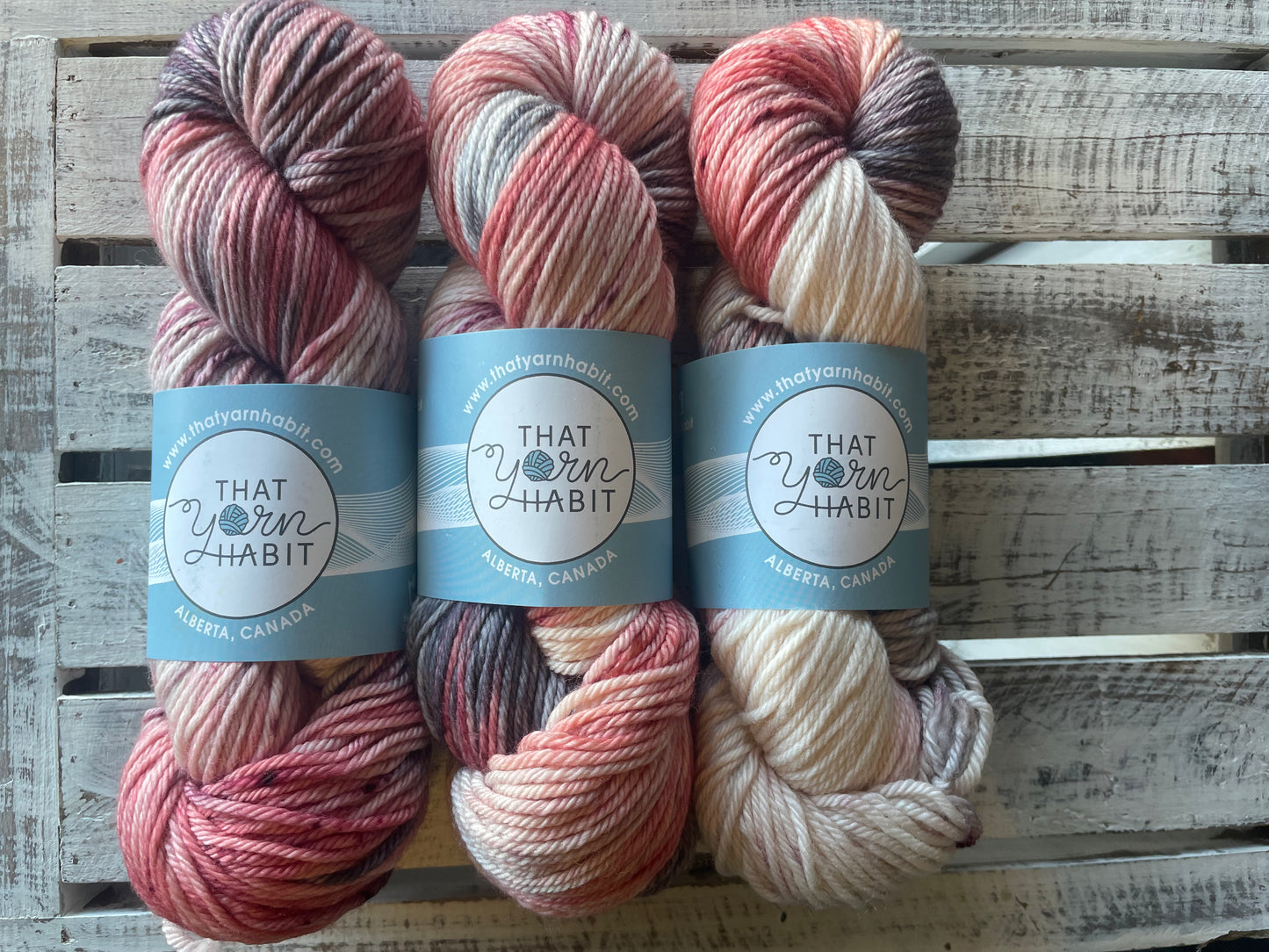 Amas Veritas Cushy Worsted