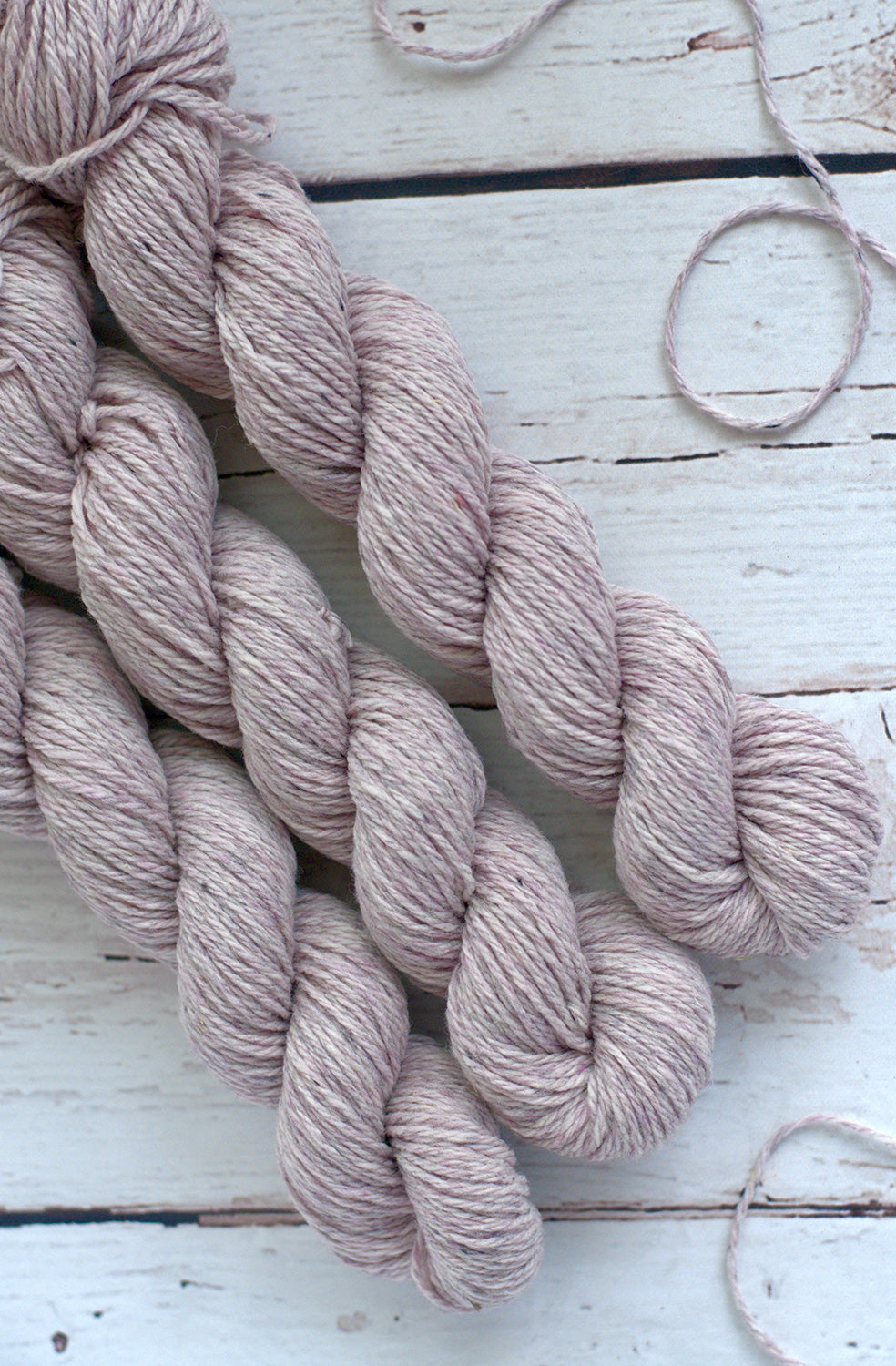 Anemone Nurtured Fine