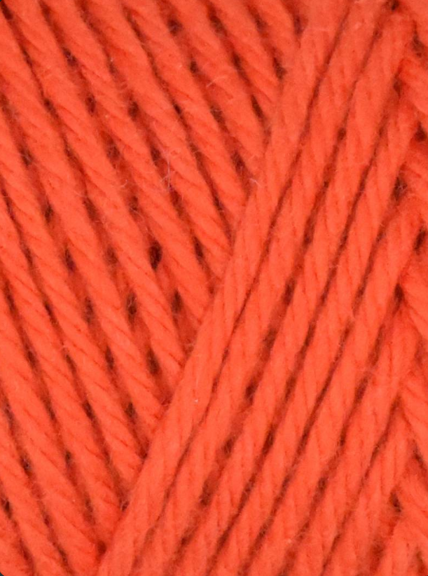 Firecracker Coastal Cotton