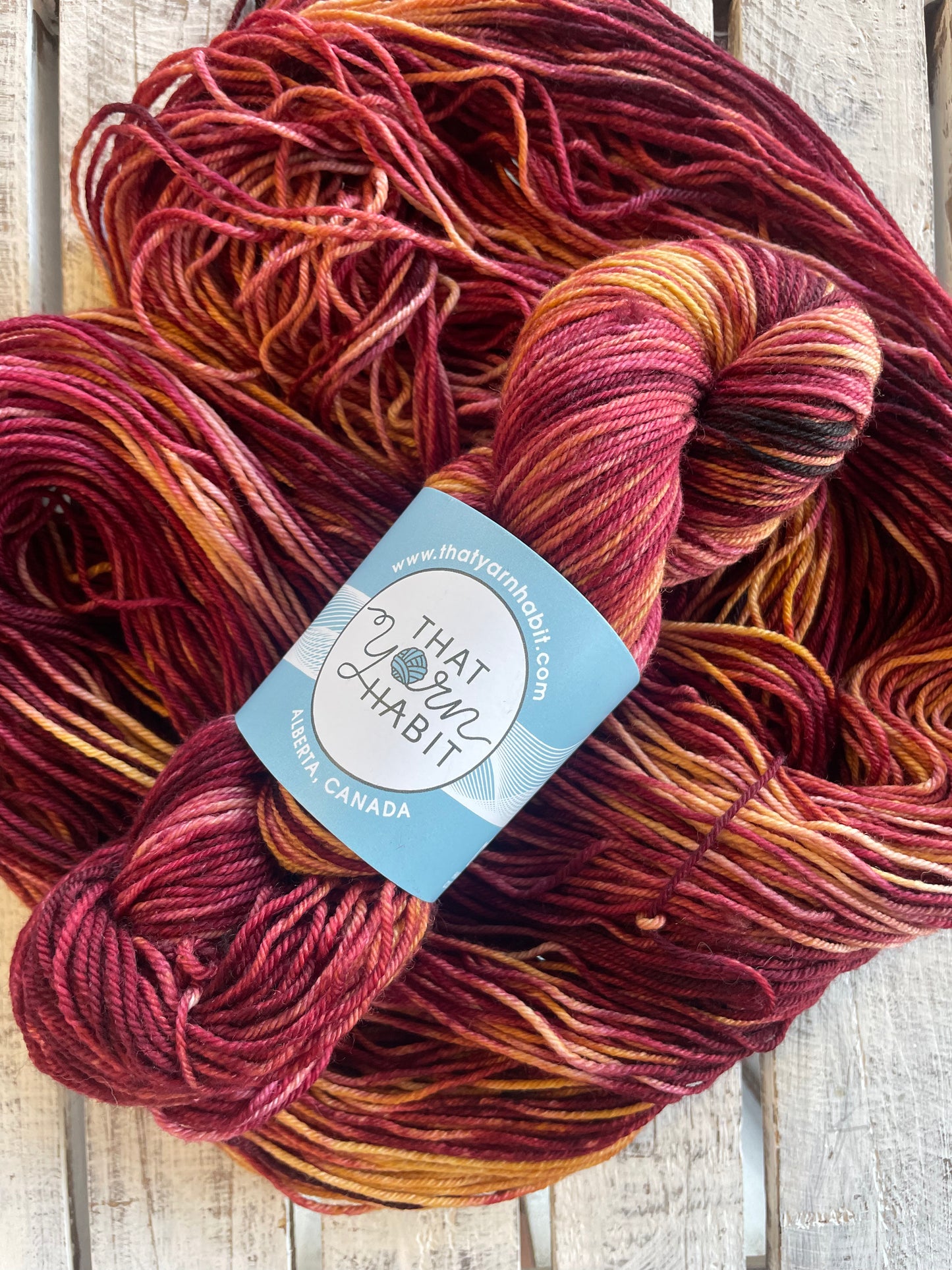 Harry Potter Collection: Gryffindor Squishy DK