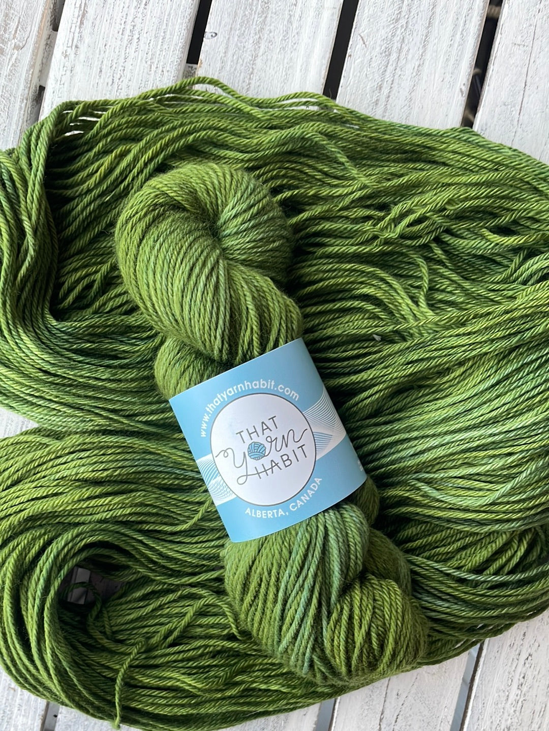 Off the Vine Cushy Worsted
