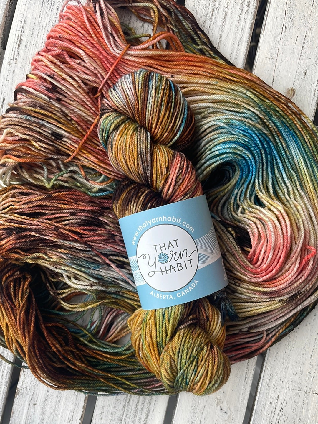 Wednesday Collection: The Weathervane Squishy DK