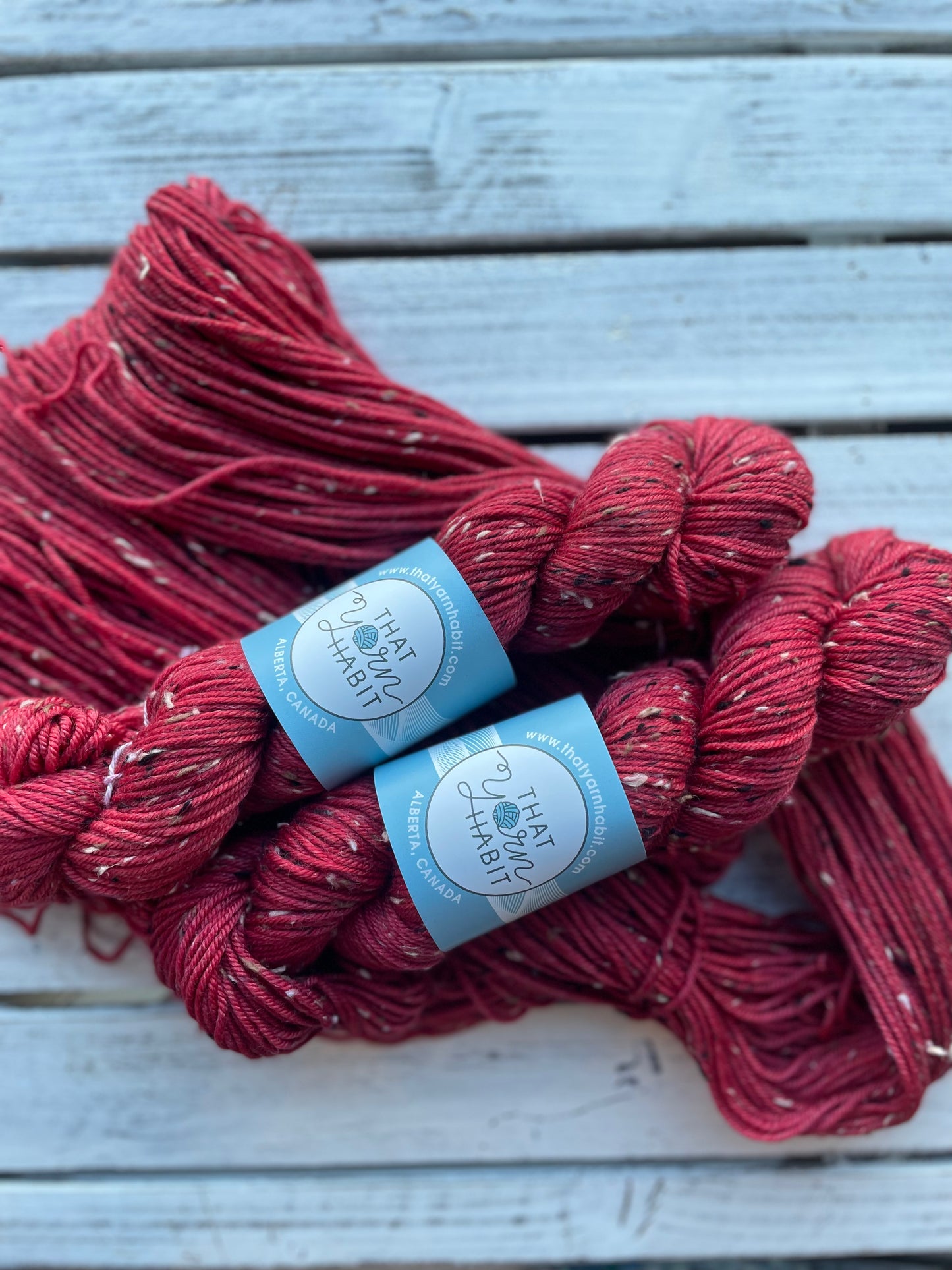 Ruby Red Slippers Tweedy DK