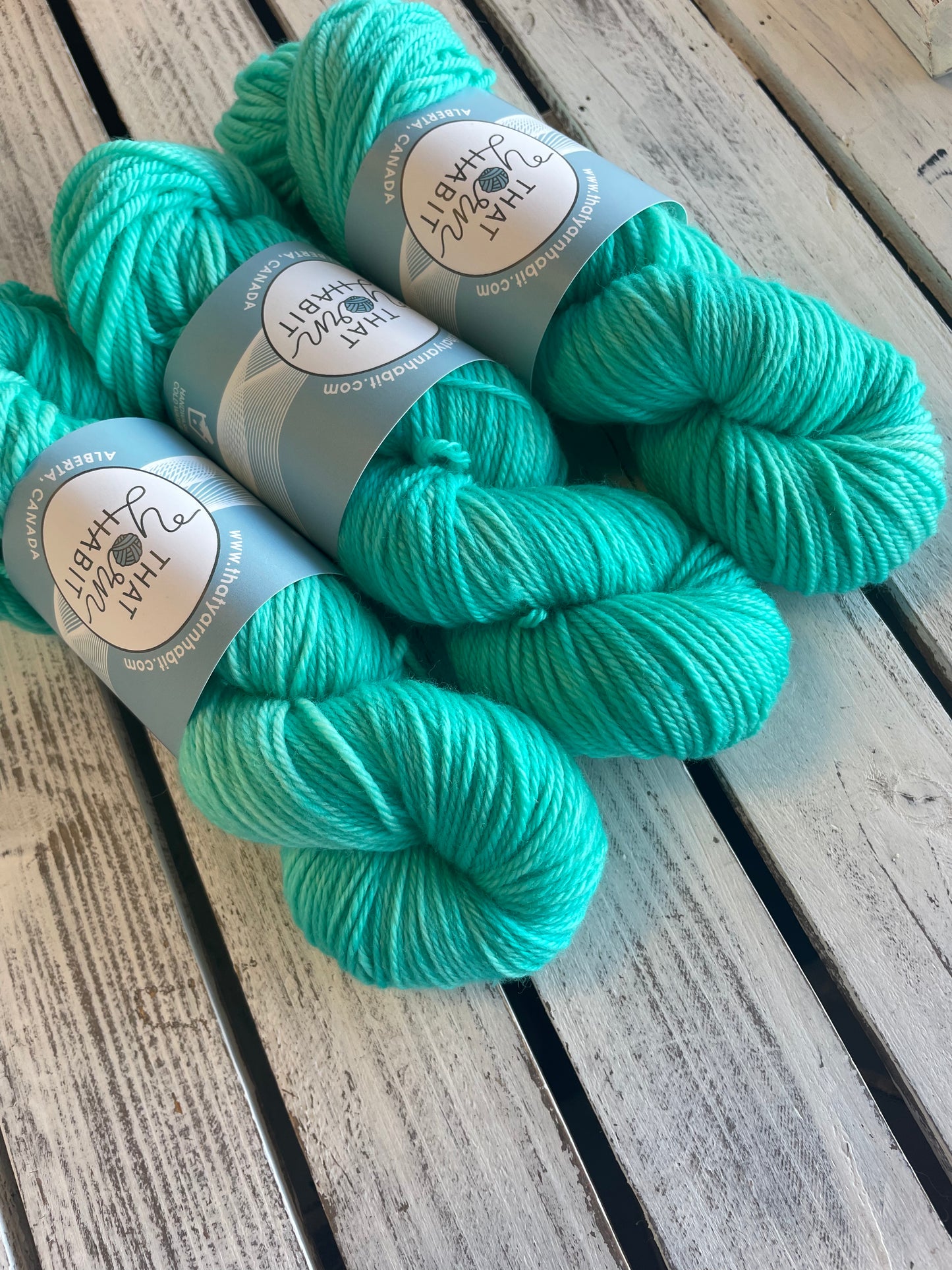 Seaglass Cushy Worsted
