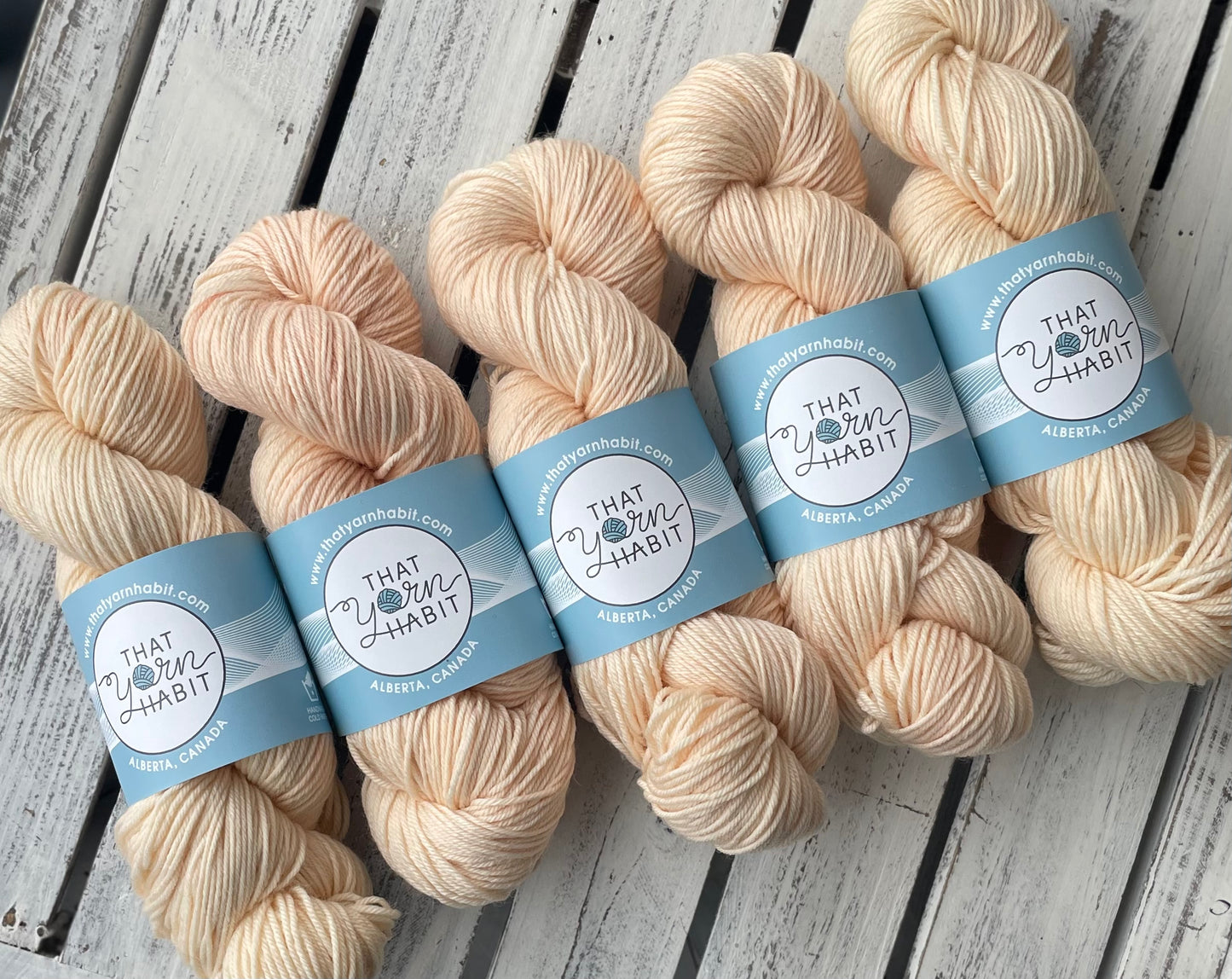 Cream Soda Squishy DK