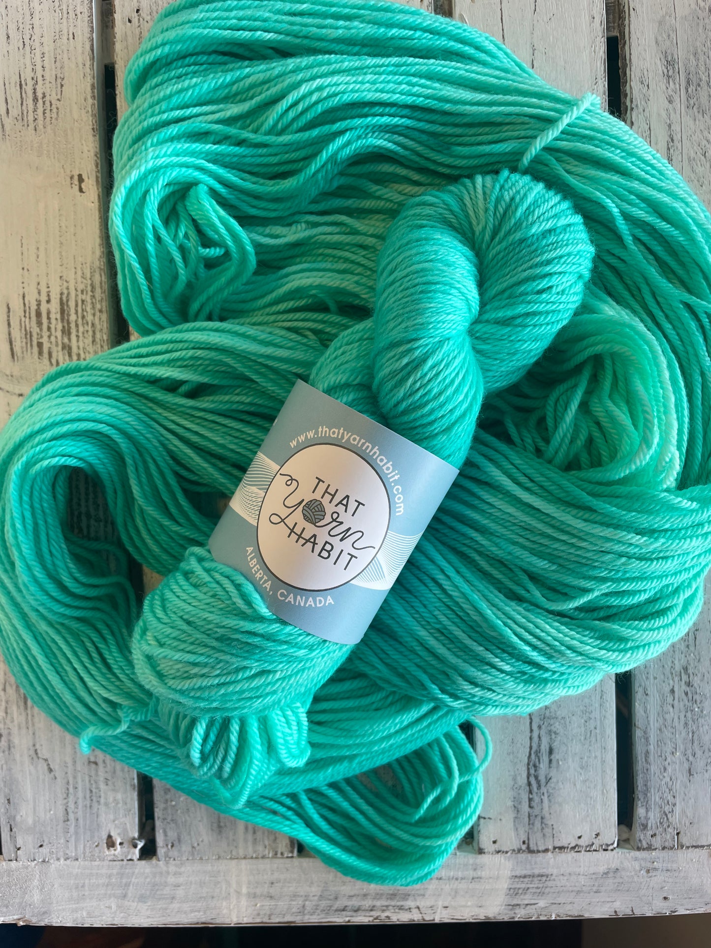 Seaglass Cushy Worsted