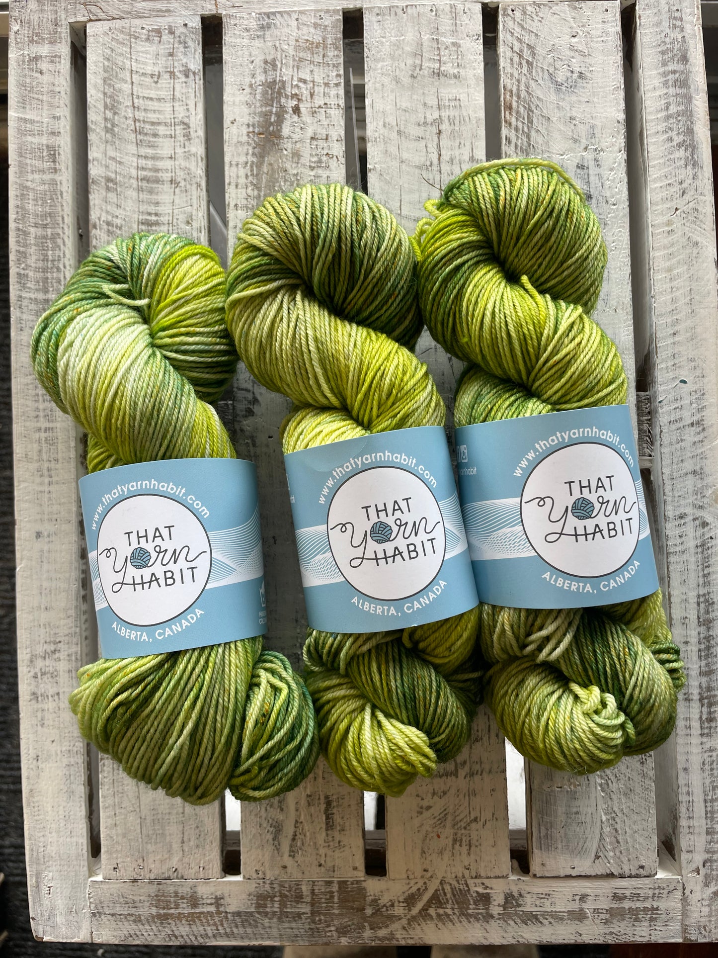 Grass Ceiling Squishy DK