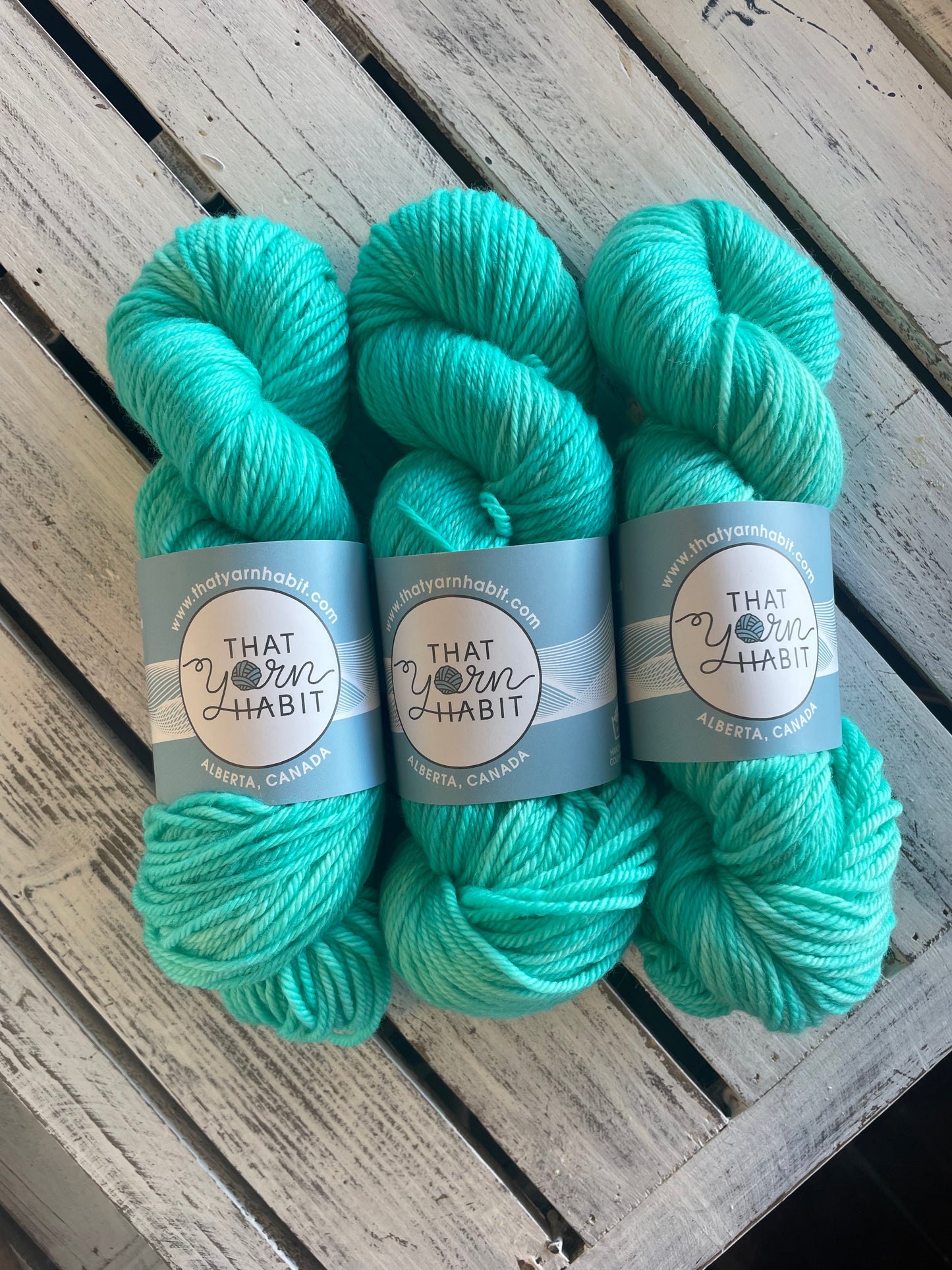 Seaglass Cushy Worsted