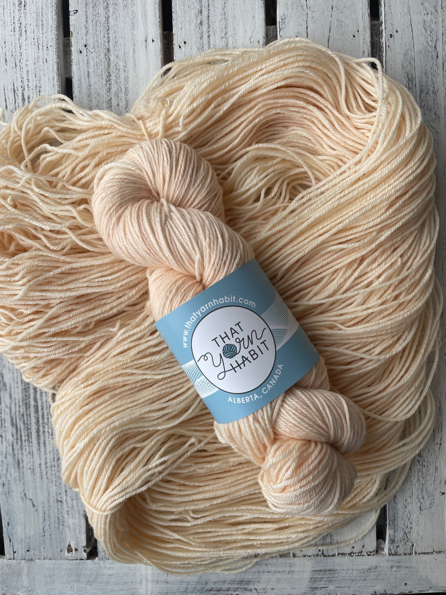 Cream Soda Squishy DK