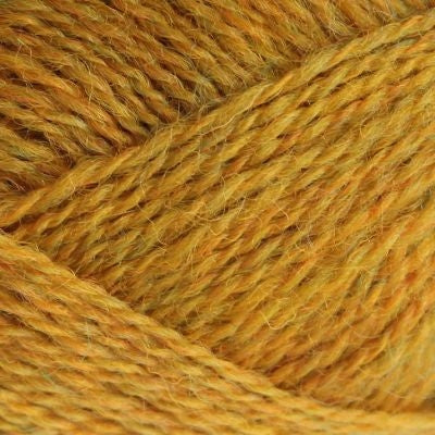 Jorvik Pip Colourwork