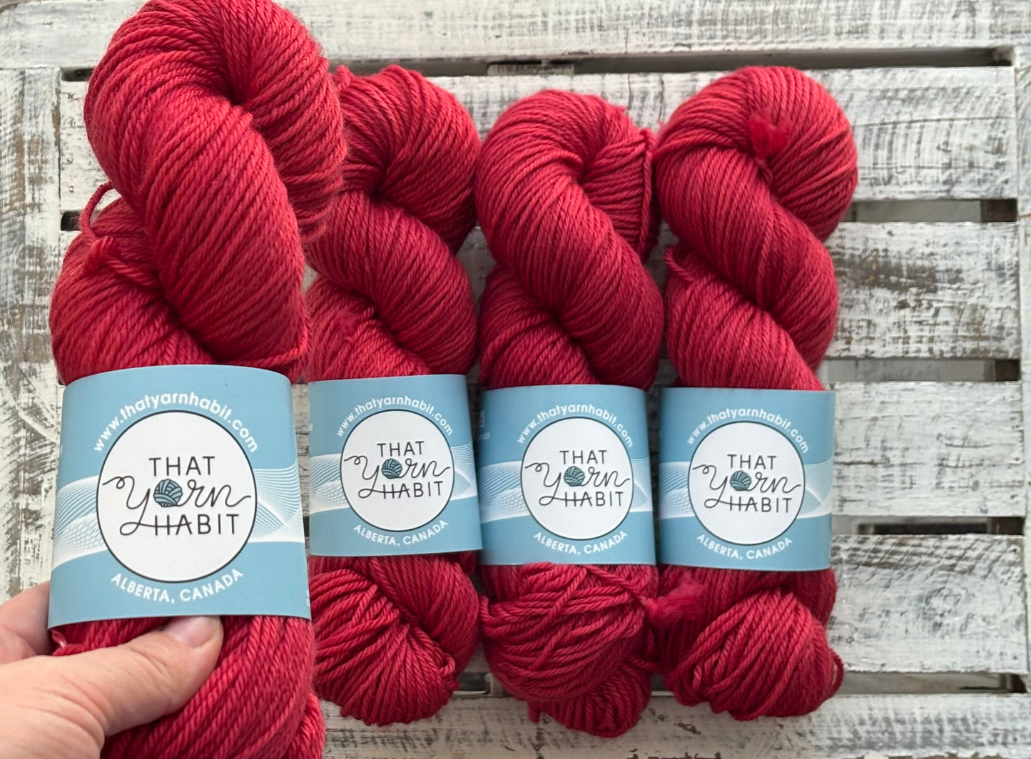 Ruby Red Slippers Cushy Worsted