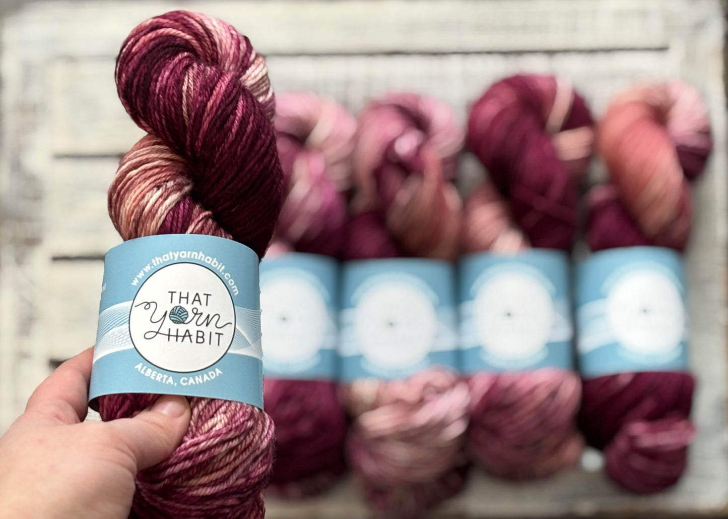 Crimson Canopy Cushy Worsted