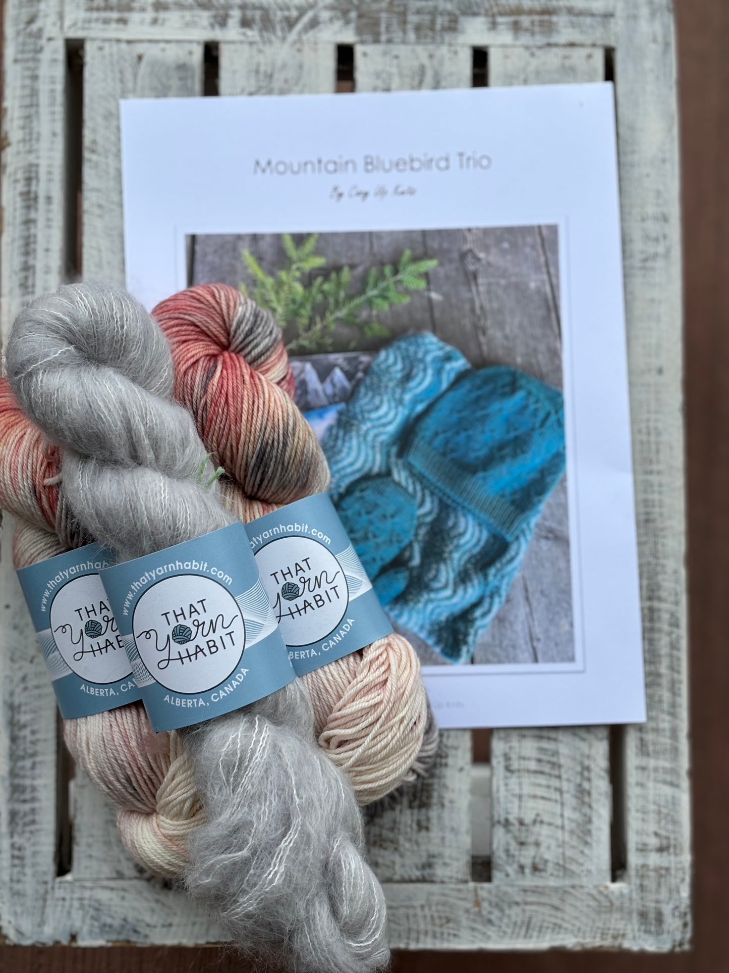 Mountain Bluebird Trio kits