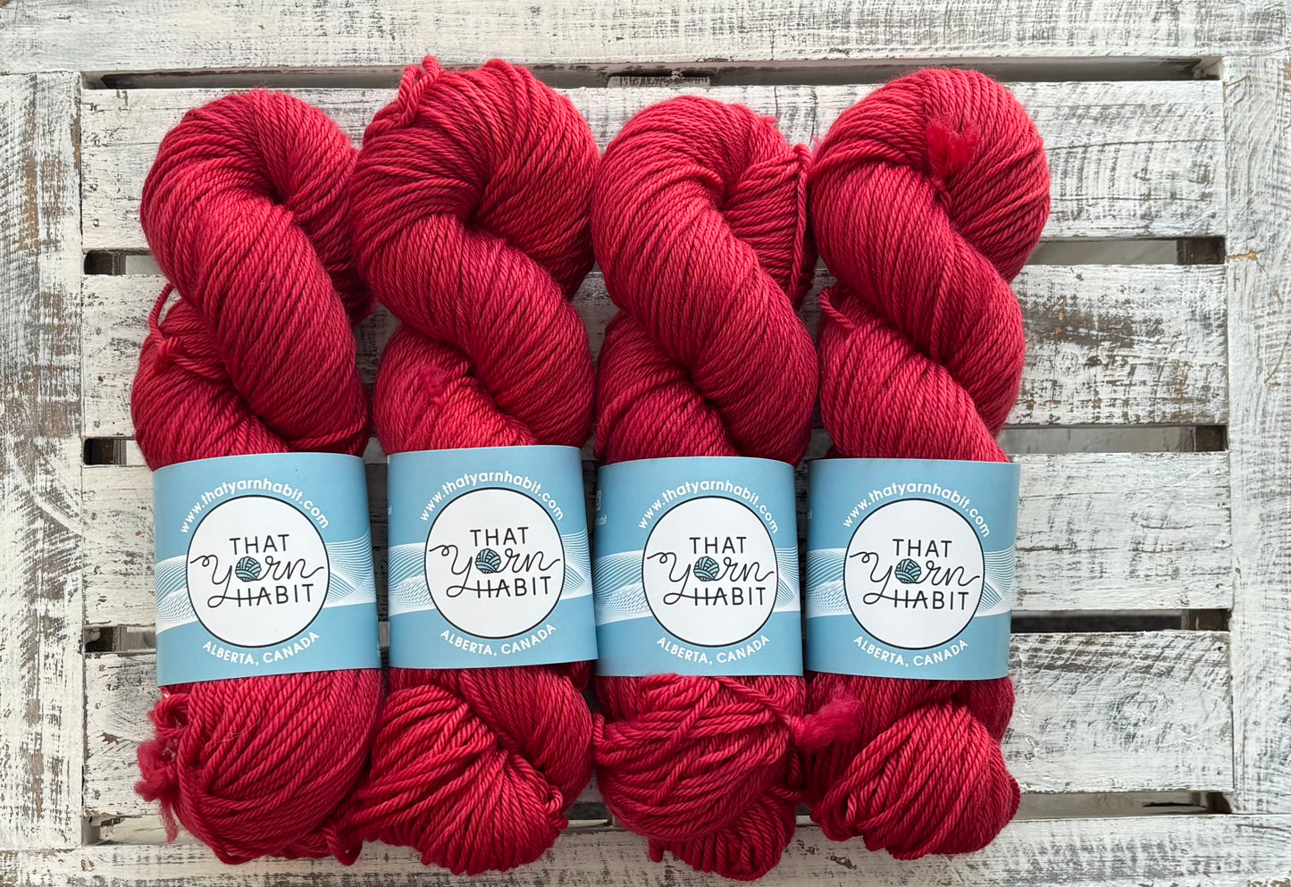 Ruby Red Slippers Cushy Worsted