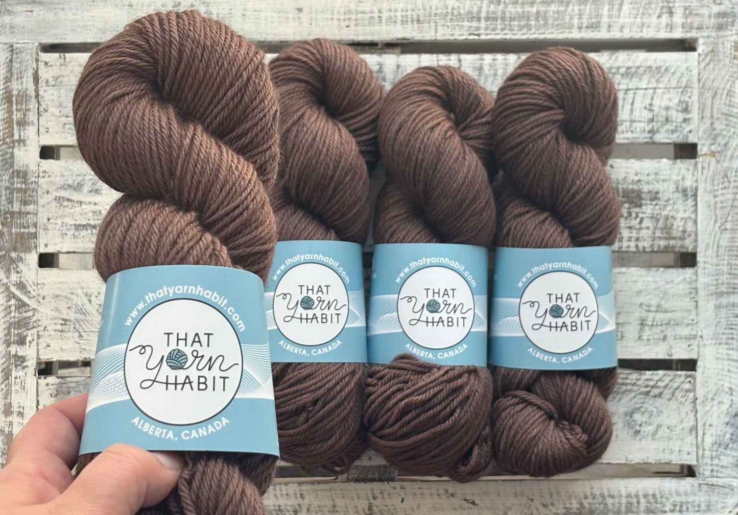 A Bear Named Jasper Cushy Worsted