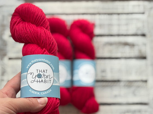 Poinsettia Red Squishy DK
