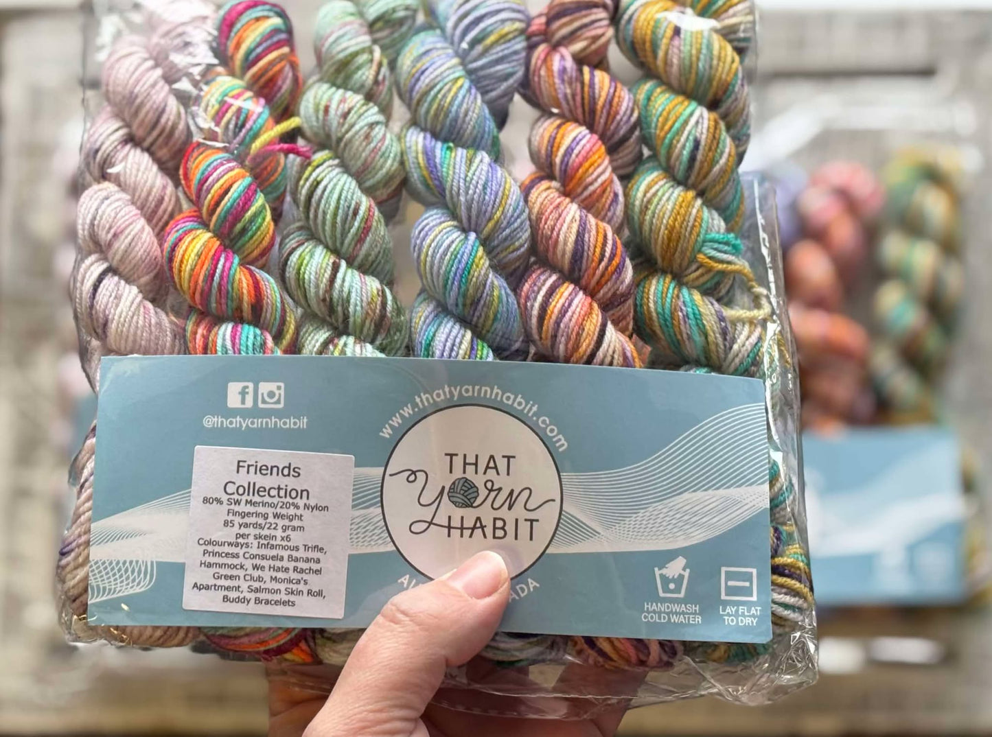 Friends Collection Mini Skein Set