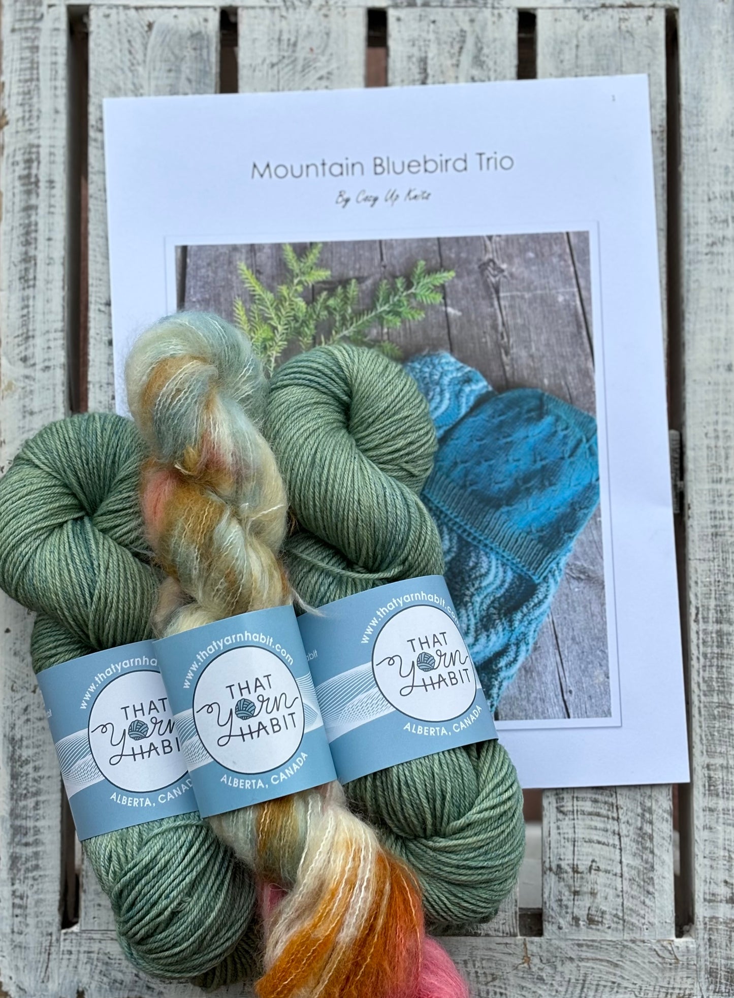 Mountain Bluebird Trio kits