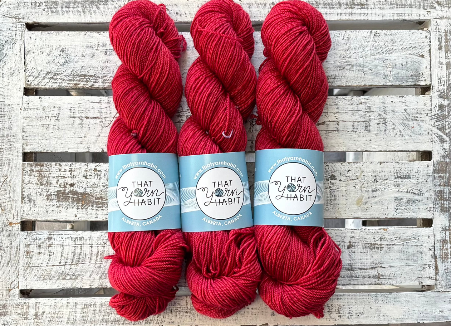 Ruby Red Slippers Sport