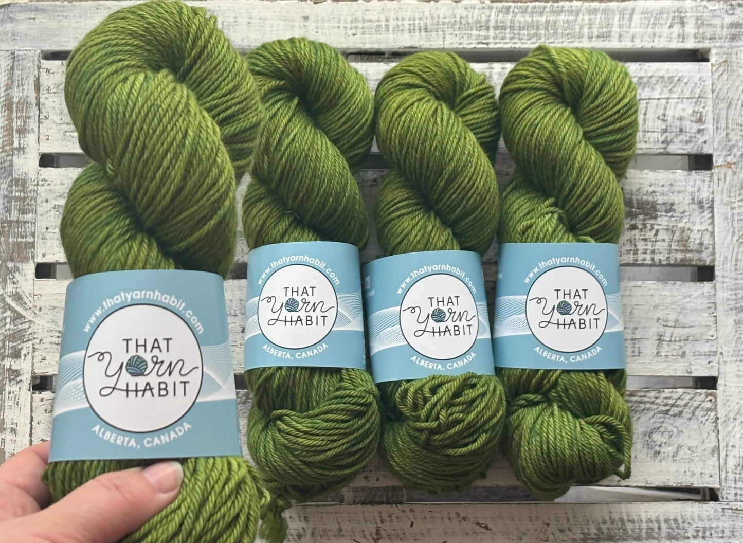 Avocado Toast Cushy Worsted