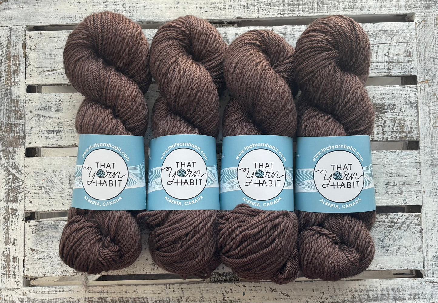 A Bear Named Jasper Cushy Worsted