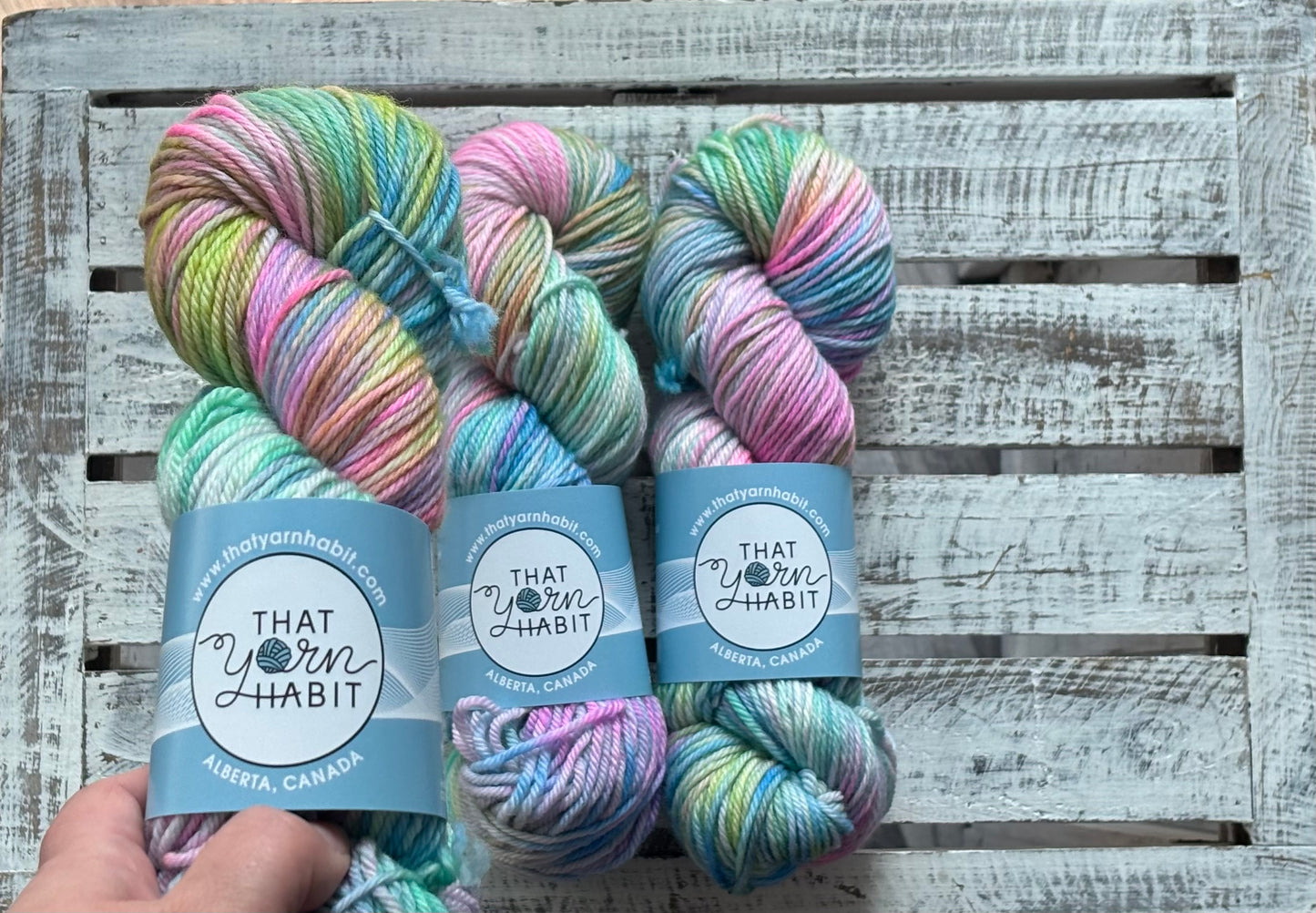 Kaleidscope Cushy Worsted