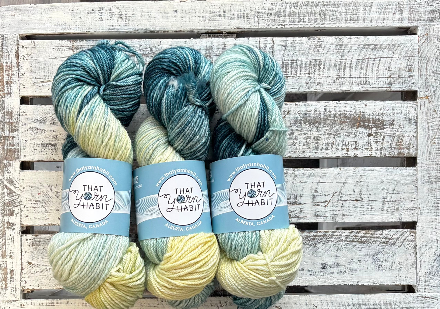 The Bear Collection Yes, Chef Cushy Worsted