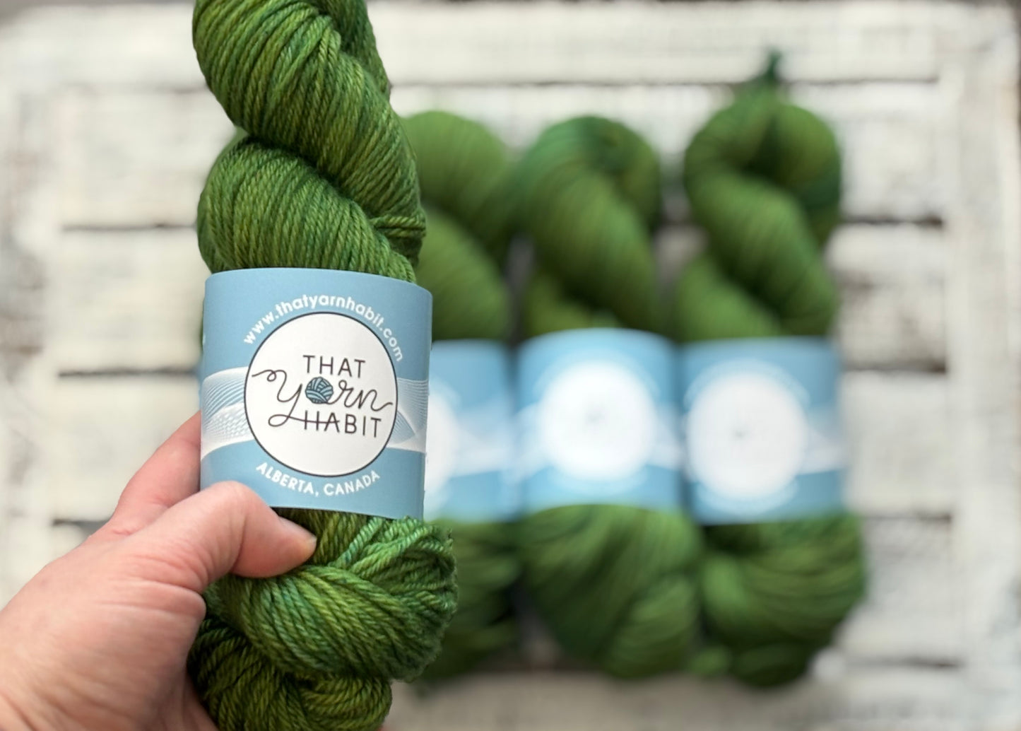 Off the Vine Cushy Worsted