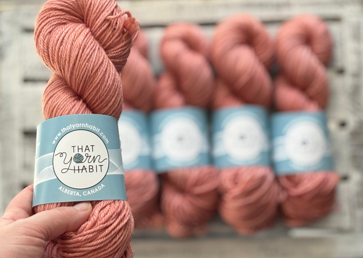 Rosewood Fog Cushy Worsted