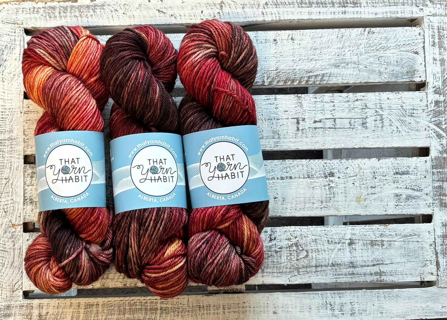 The Bear Collection: Family Style Cushy Worsted