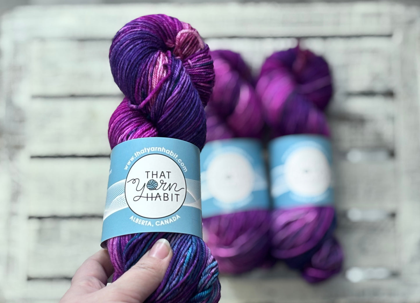 Terriblee Obsessed Squishy DK