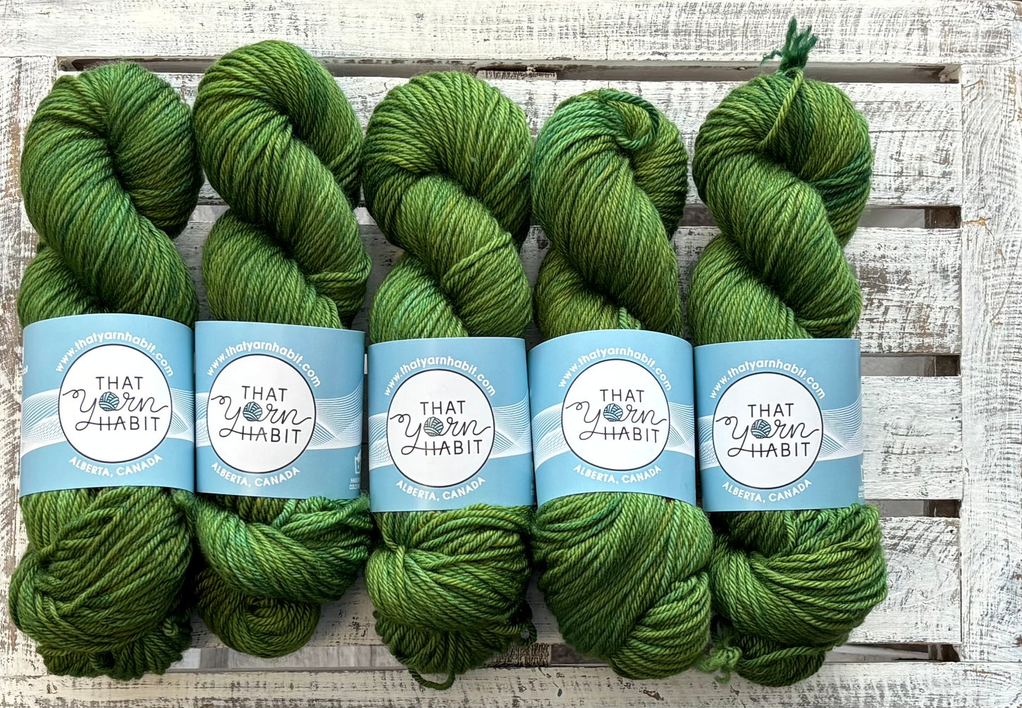 Off the Vine Cushy Worsted