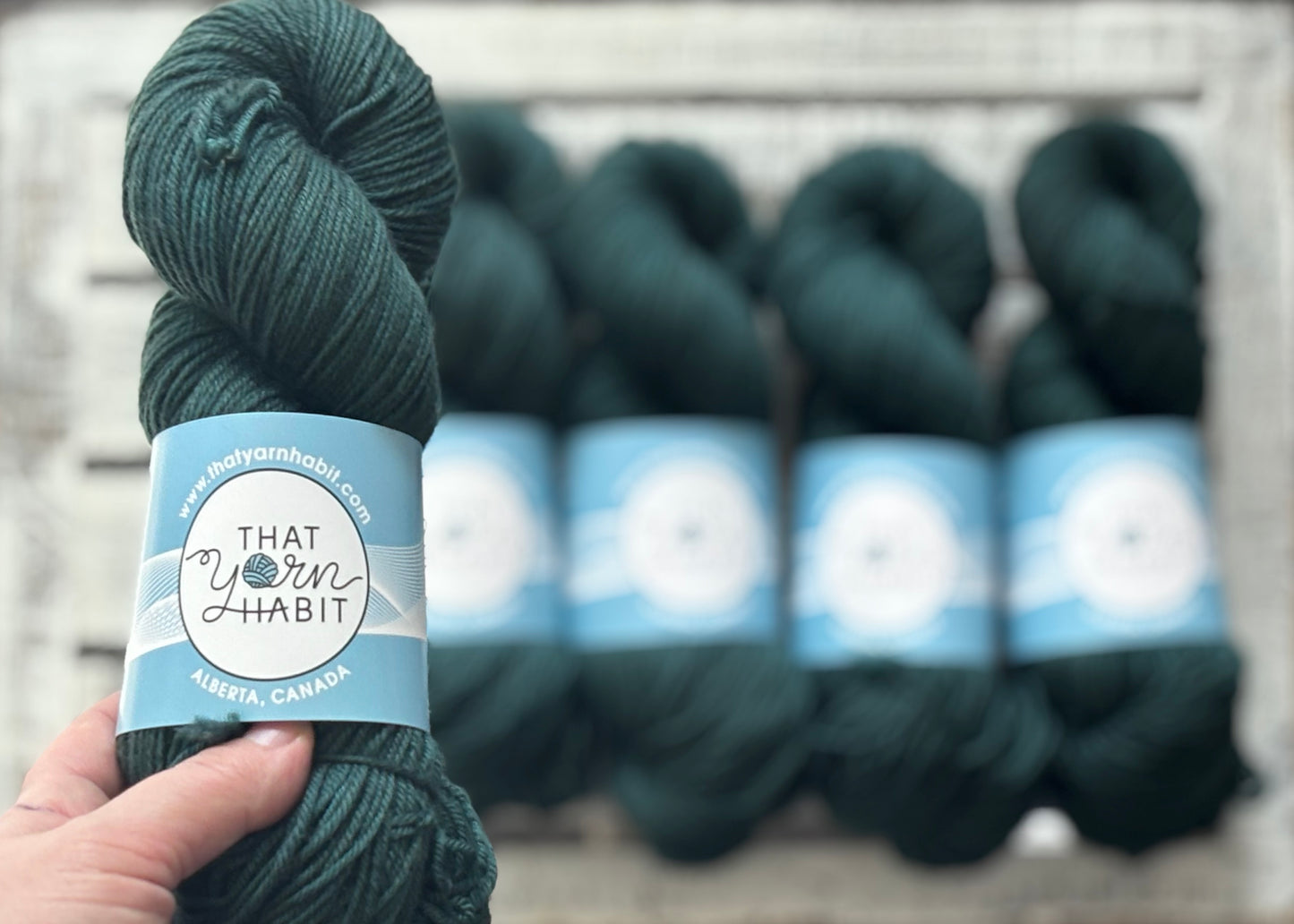 Hemlock Squishy DK