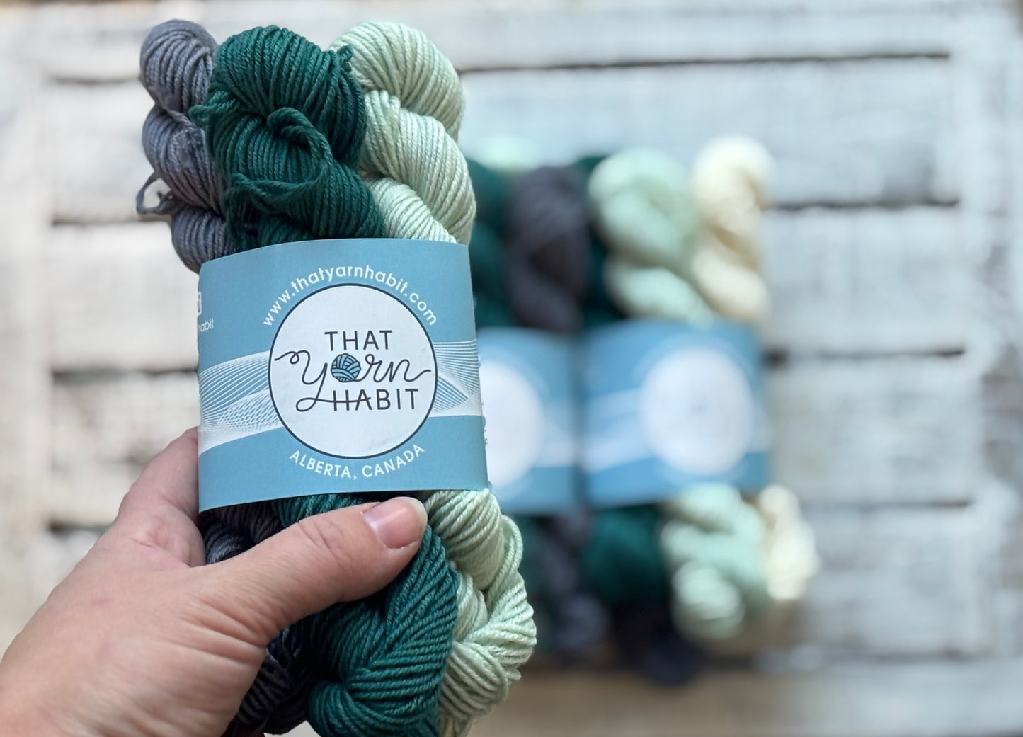 Gnandad's Grand Adventure Mini Skein Sets