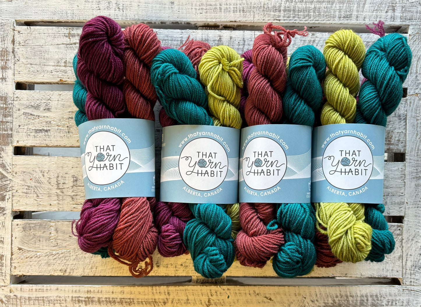 Gnana’s Visit Mini Skein Sets