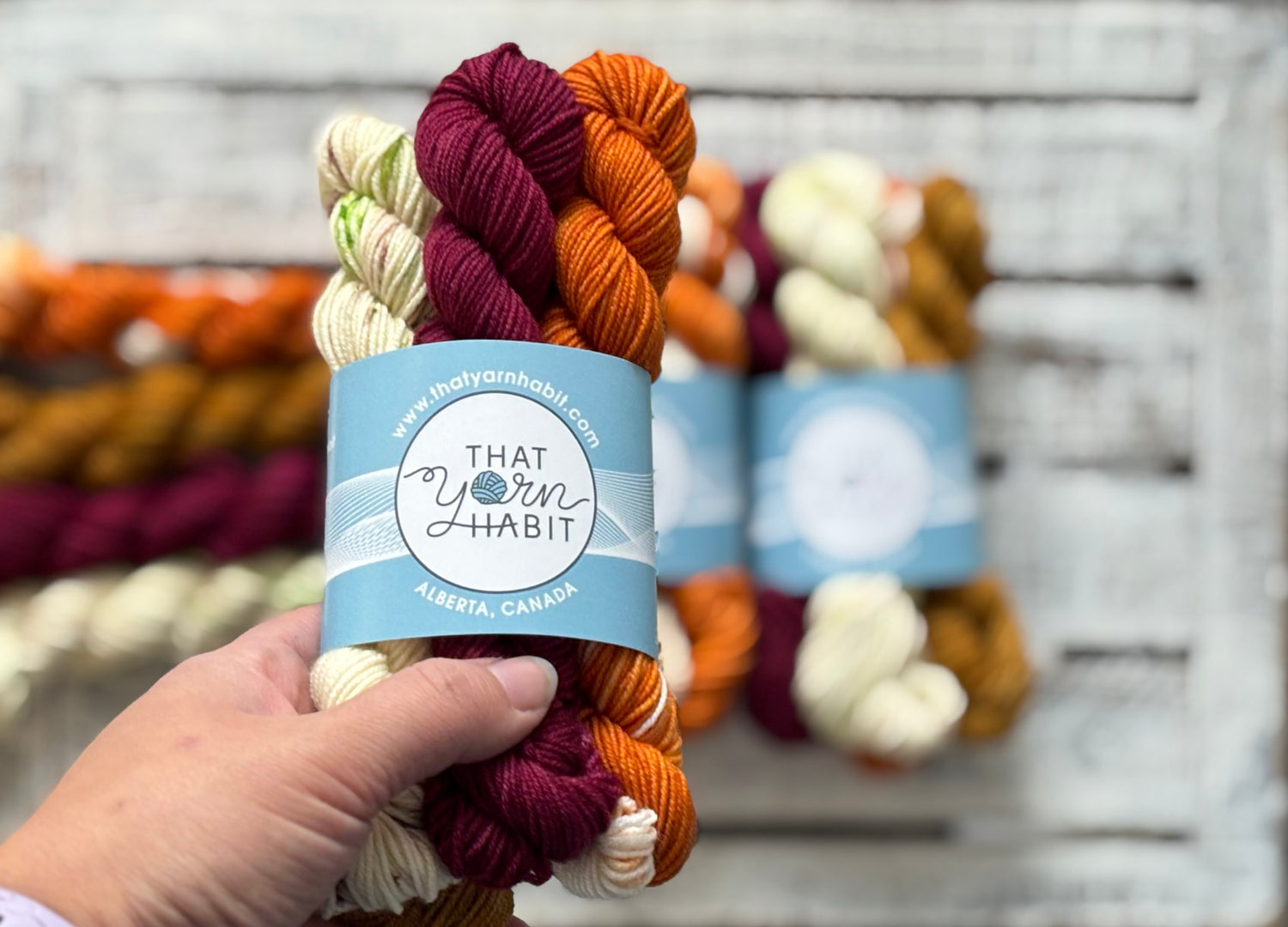 That Yarn Habit
