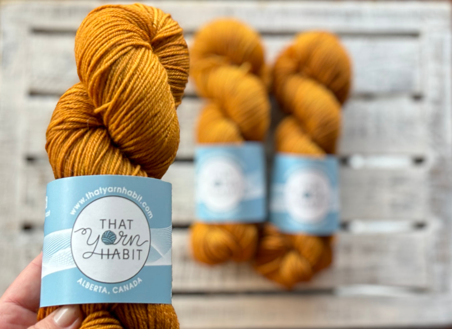 Butterscotch Squishy DK