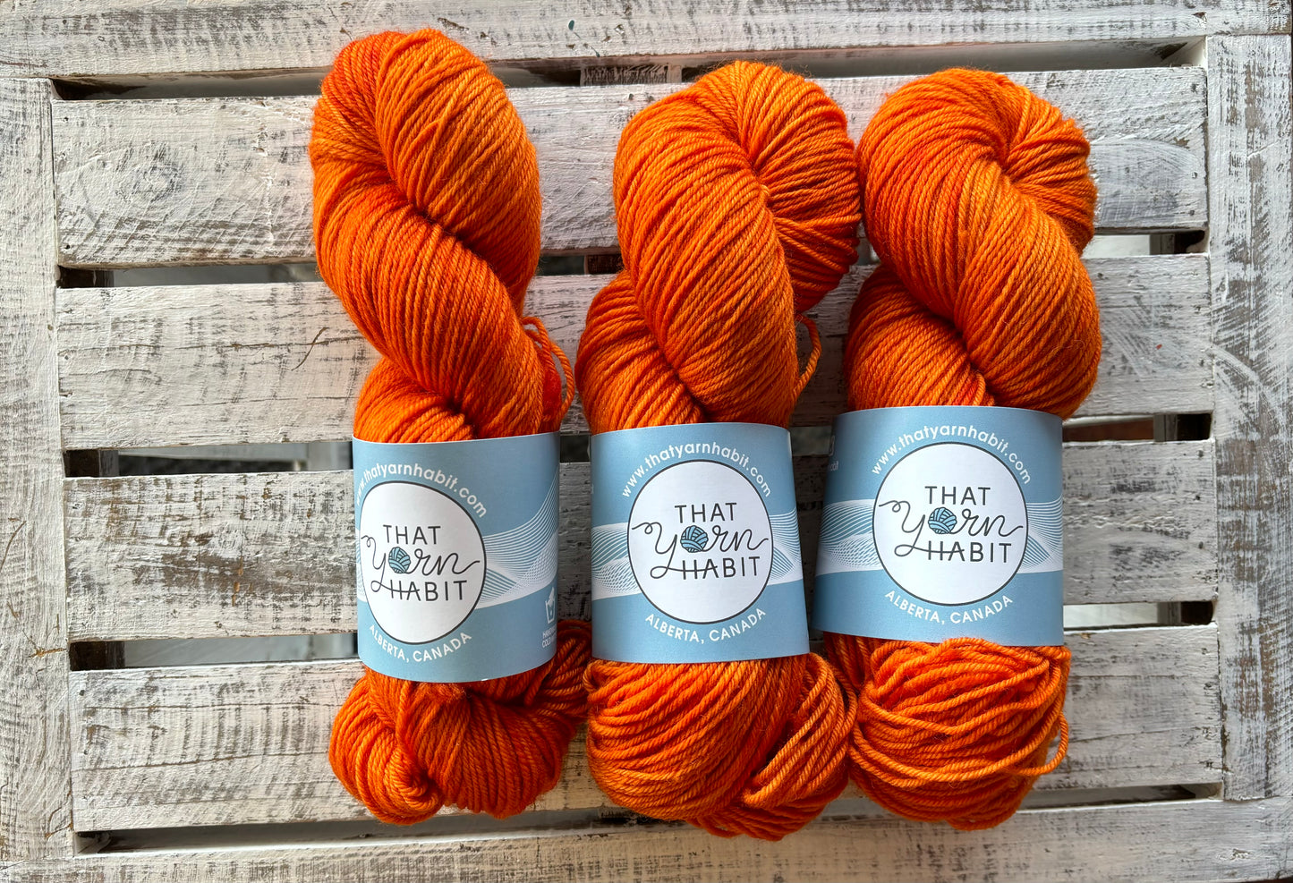 Clementine Squishy DK