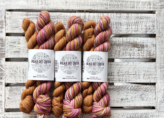 Bee's Knees Self Striping Sock Set