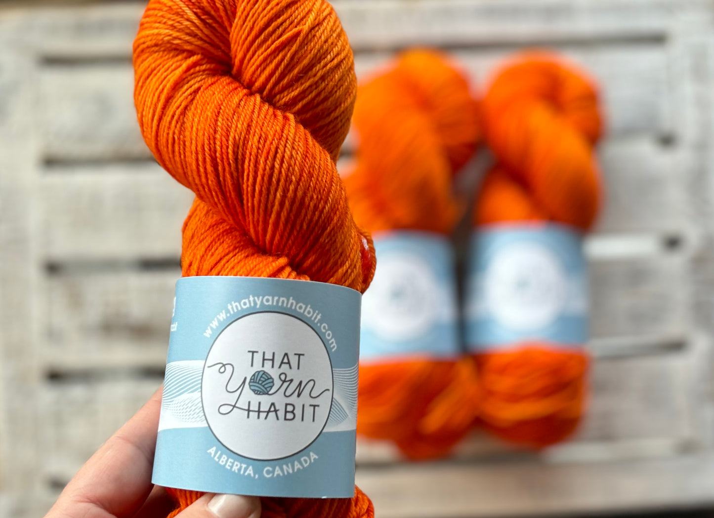 Clementine Squishy DK