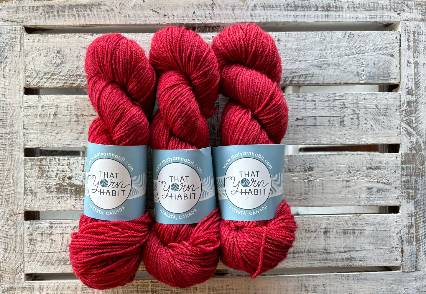 Ruby Red Slippers Squishy DK