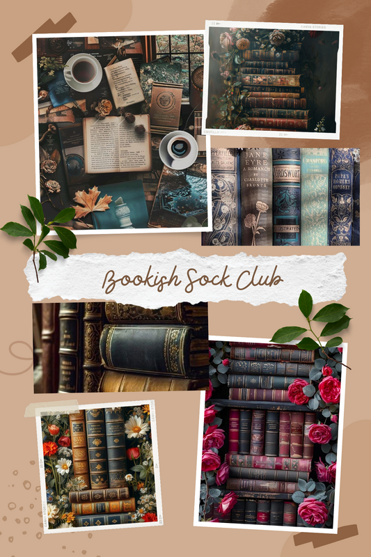 Bookish Sock Club Mystery Sock Club | 3 Month Subscription